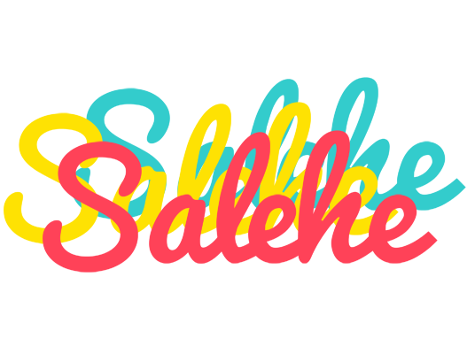 Salehe disco logo
