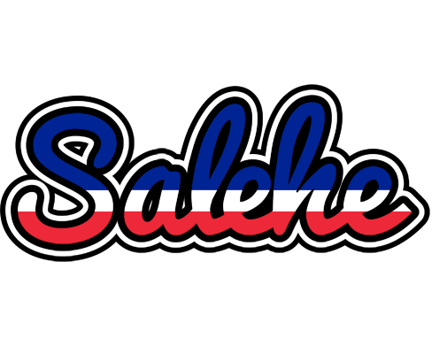 Salehe france logo