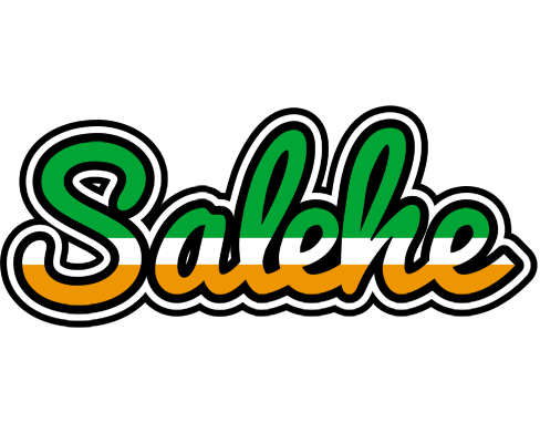 Salehe ireland logo