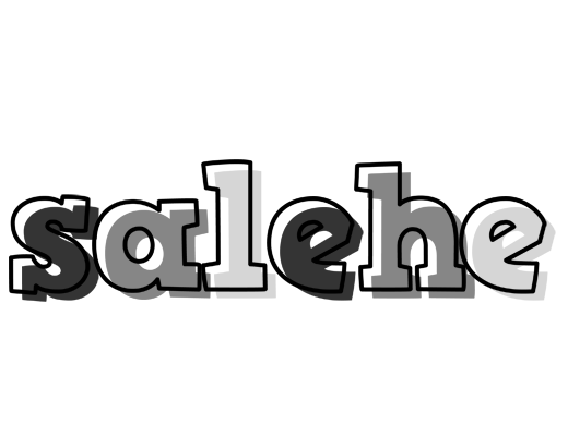 Salehe night logo
