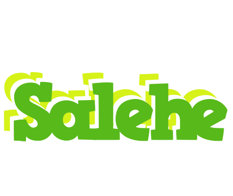 Salehe picnic logo
