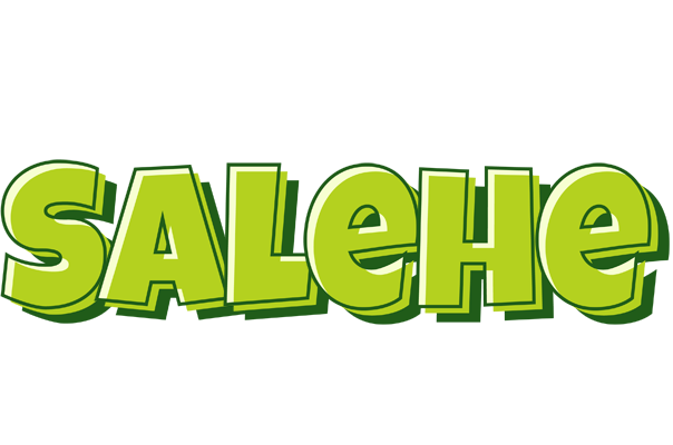 Salehe summer logo