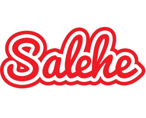 Salehe sunshine logo