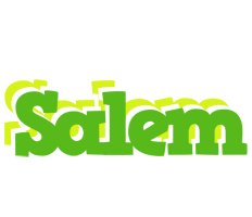 Salem picnic logo