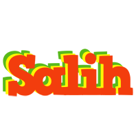 Salih bbq logo