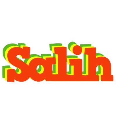 Salih bbq logo