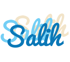 Salih breeze logo