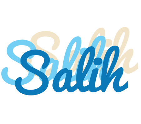 Salih breeze logo