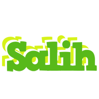 Salih picnic logo