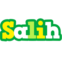 Salih soccer logo