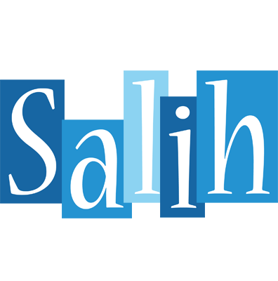Salih winter logo