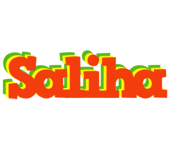 Saliha bbq logo