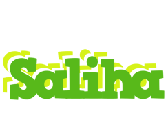 Saliha picnic logo