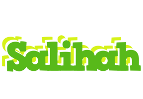 Salihah picnic logo