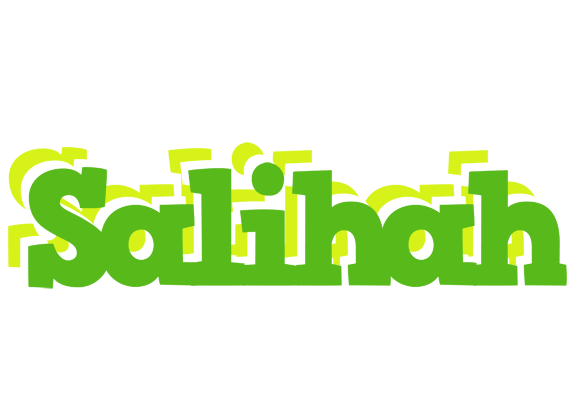 Salihah picnic logo