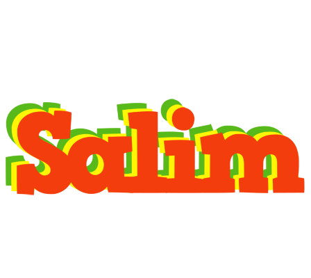 Salim bbq logo