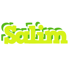 Salim citrus logo