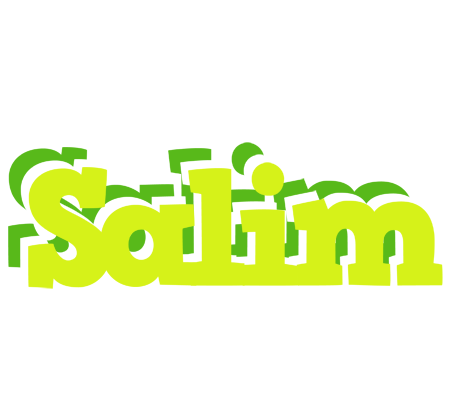 Salim citrus logo
