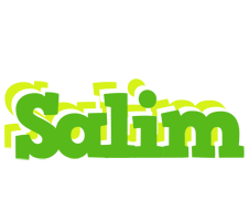 Salim picnic logo