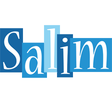 Salim winter logo