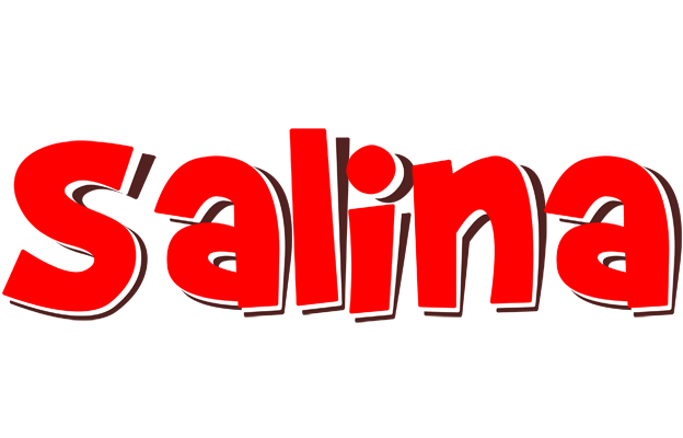 Salina basket logo