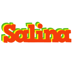 Salina bbq logo