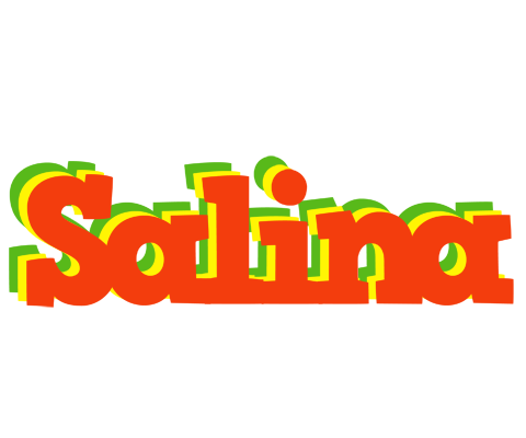 Salina bbq logo