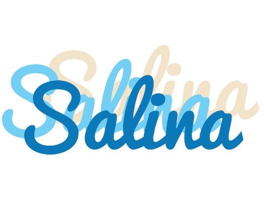 Salina breeze logo
