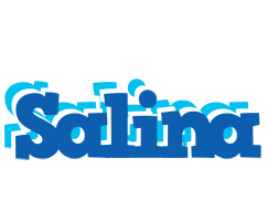 Salina business logo