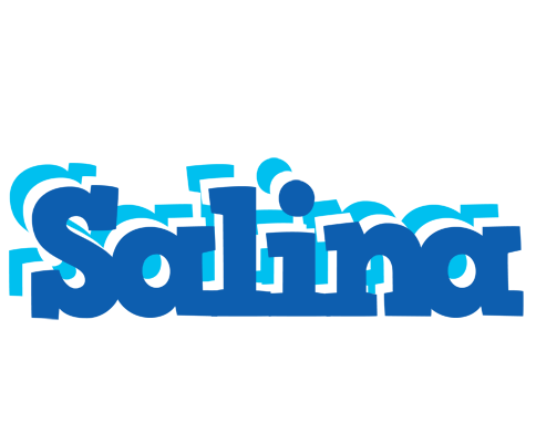 Salina business logo