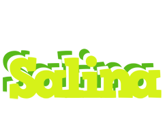 Salina citrus logo