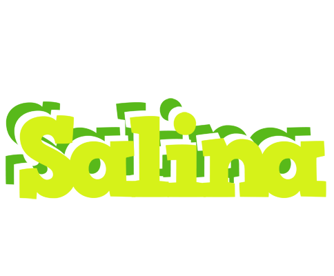 Salina citrus logo