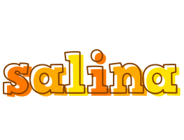 Salina desert logo