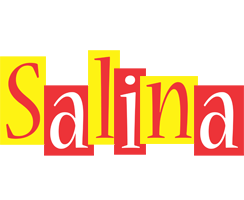 Salina errors logo