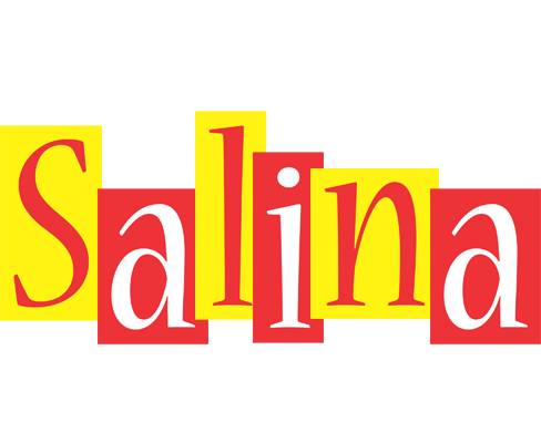 Salina errors logo