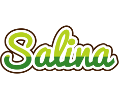 Salina golfing logo