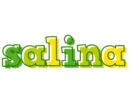 Salina juice logo