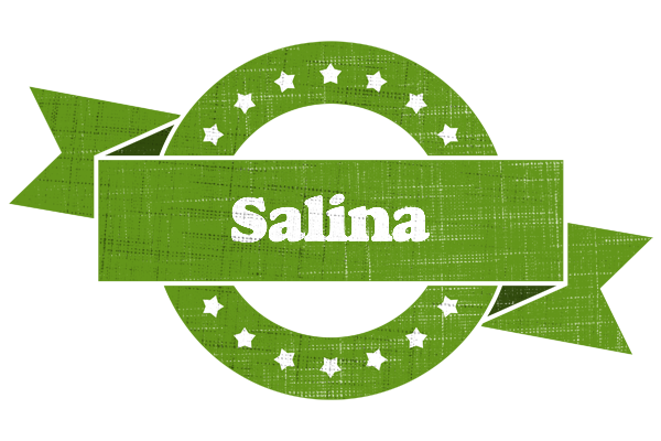 Salina natural logo