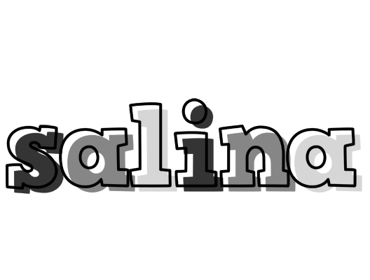 Salina night logo