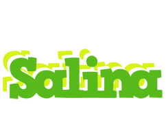 Salina picnic logo