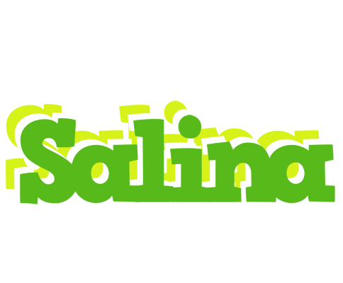 Salina picnic logo
