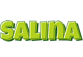 Salina summer logo