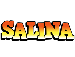 Salina sunset logo