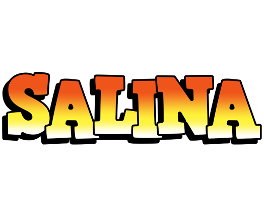 Salina sunset logo