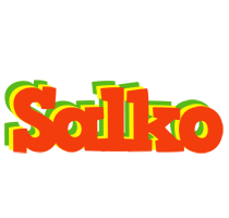 Salko bbq logo