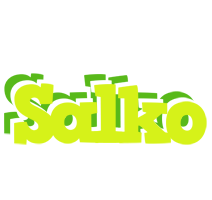 Salko citrus logo