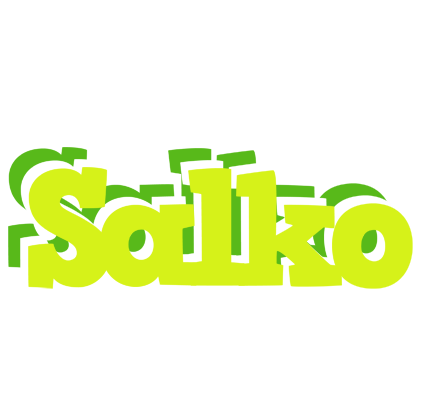 Salko citrus logo