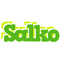 Salko picnic logo