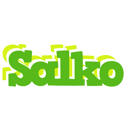 Salko picnic logo