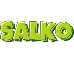 Salko summer logo